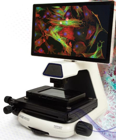 智能倒置荧光显微镜