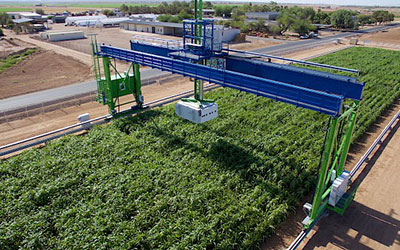 植物表型分析儀