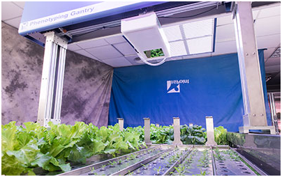 高通量植物表型分析系統Phenotyping
